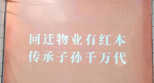 深圳遍地“咚咚咚” 挖掘機聲為何成了“新特產(chǎn)”？